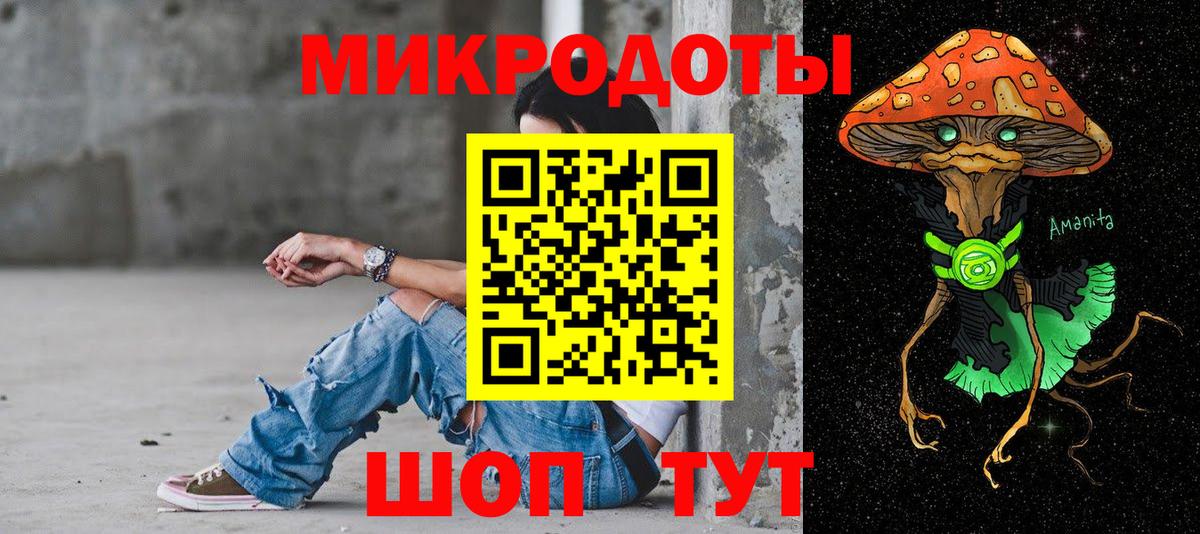 Щёкино  Псилоцибиновые грибы Psilocybine cubensis  Псилоцибиновые грибы мицелий  Вход с VPN 